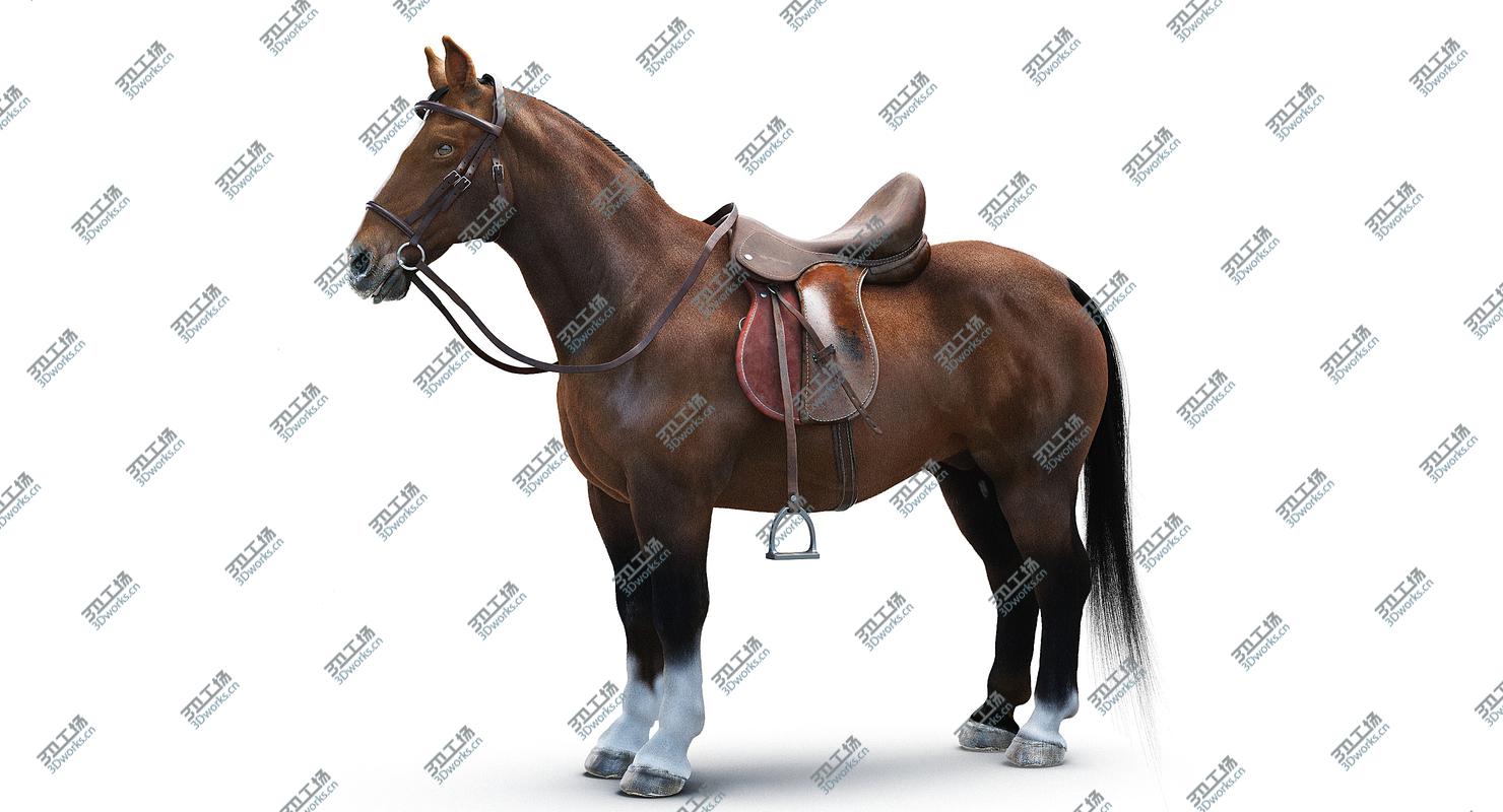 images/goods_img/2021040235/Saddled Horse/3.jpg